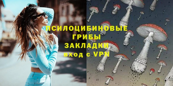 бошки Володарск