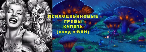 МДПВ Волосово