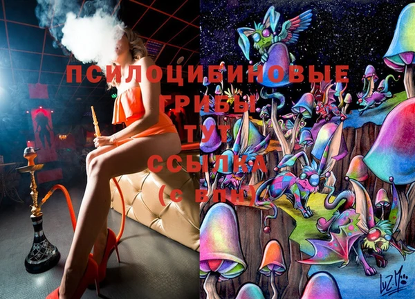 МДПВ Волосово