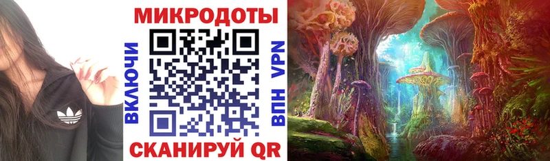 Галлюциногенные грибы мухоморы продажа наркотиков Звенигово